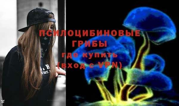 ALPHA PVP Богданович