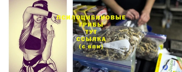 сатива Великий Новгород