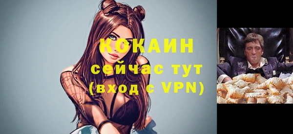 mix Богородск