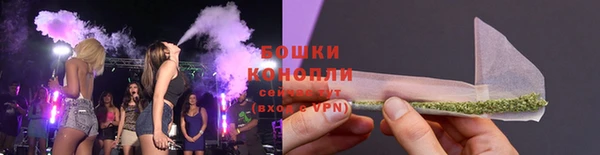 mix Богородск