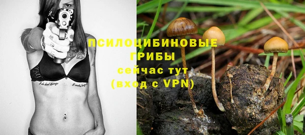 ALPHA PVP Богданович