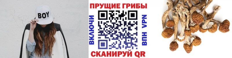 Галлюциногенные грибы мухоморы  Весьегонск 